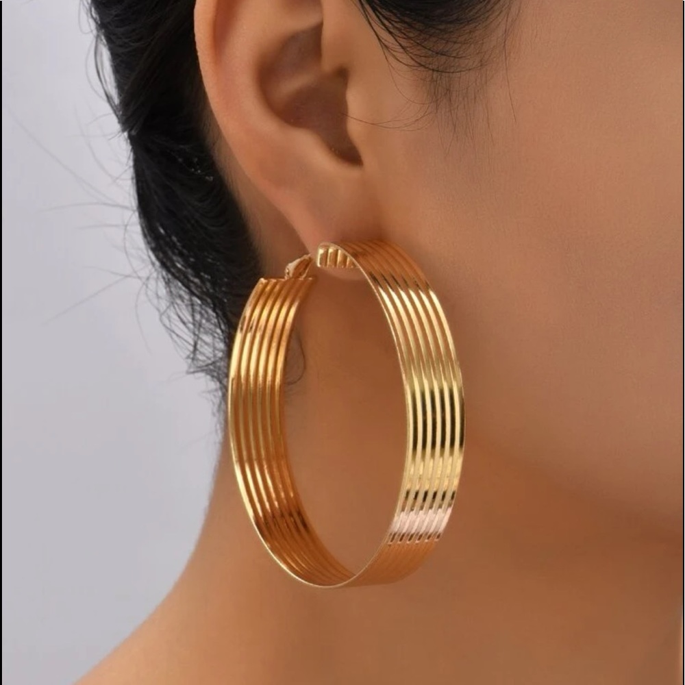 NWOT Simple Hoop Earrings